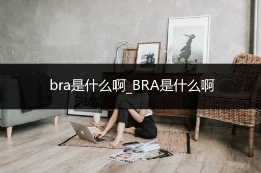 bra是什么啊_BRA是什么啊